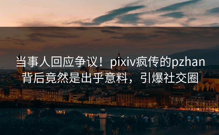 当事人回应争议！pixiv疯传的pzhan背后竟然是出乎意料，引爆社交圈