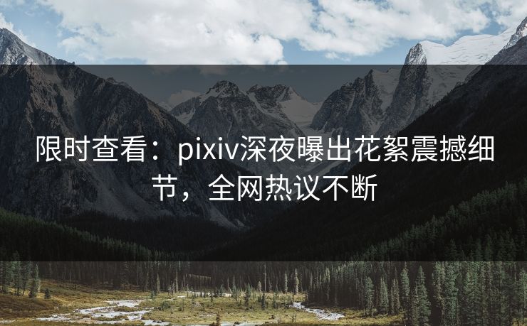 限时查看：pixiv深夜曝出花絮震撼细节，全网热议不断