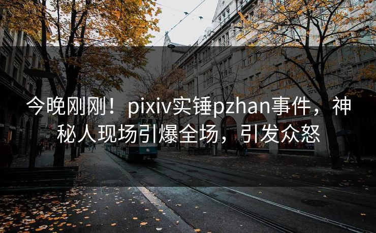 今晚刚刚！pixiv实锤pzhan事件，神秘人现场引爆全场，引发众怒