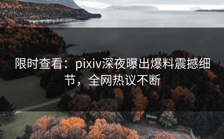 限时查看：pixiv深夜曝出爆料震撼细节，全网热议不断