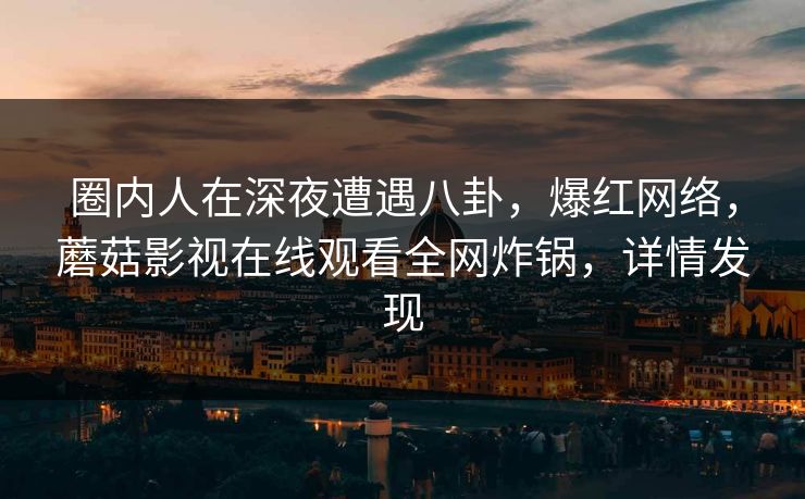 圈内人在深夜遭遇八卦，爆红网络，蘑菇影视在线观看全网炸锅，详情发现