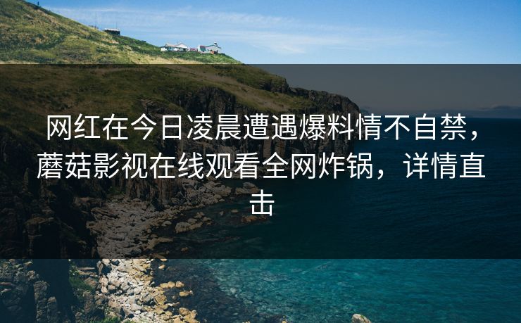 网红在今日凌晨遭遇爆料情不自禁，蘑菇影视在线观看全网炸锅，详情直击