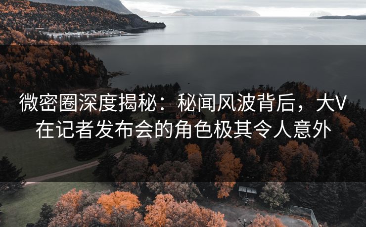 微密圈深度揭秘：秘闻风波背后，大V在记者发布会的角色极其令人意外