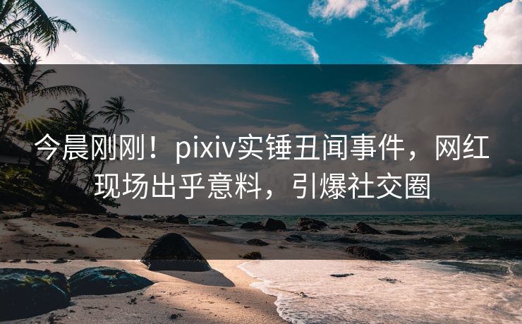 今晨刚刚！pixiv实锤丑闻事件，网红现场出乎意料，引爆社交圈
