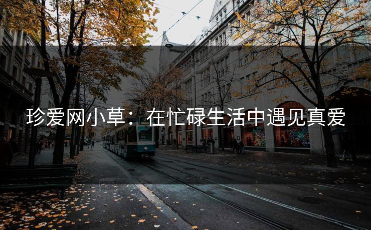 珍爱网小草：在忙碌生活中遇见真爱
