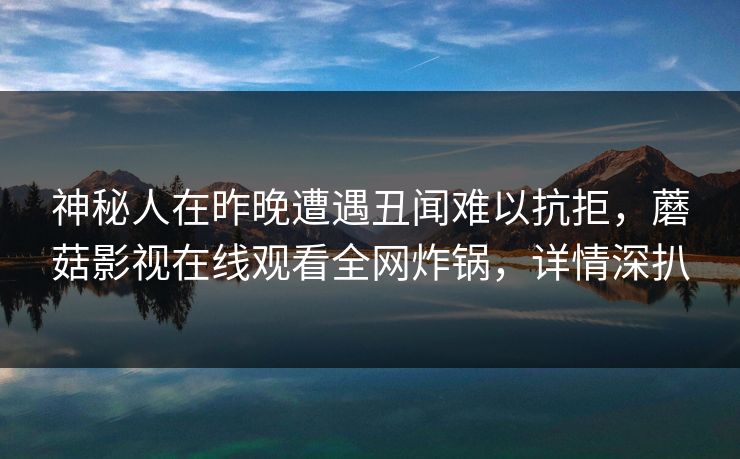 神秘人在昨晚遭遇丑闻难以抗拒，蘑菇影视在线观看全网炸锅，详情深扒